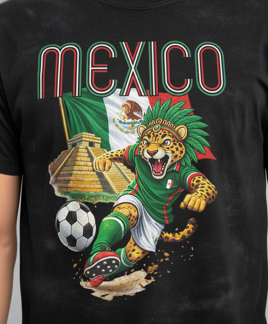 MexicoSoccer — Graphic detail